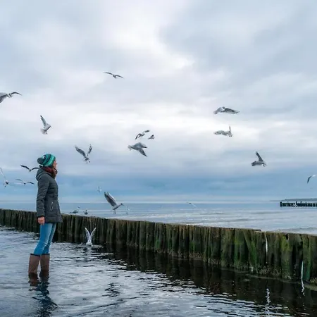 Lejlighed Gezeiten App 2 Meeresrauschen *