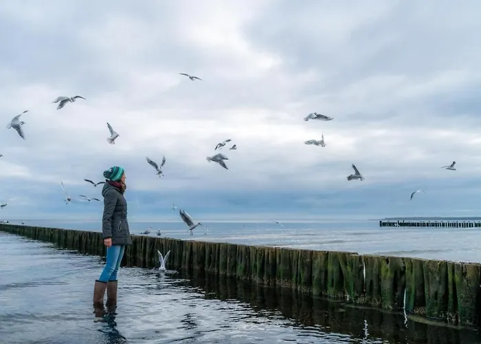 Apartman Gezeiten App 2 Meeresrauschen *